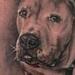 Tattoos - Dog portrait tattoo - 54820